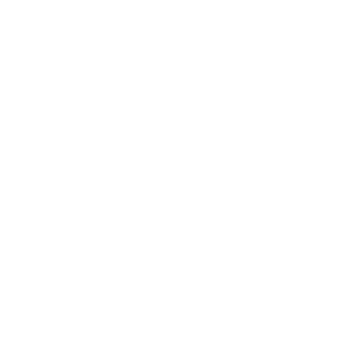 Video Icon