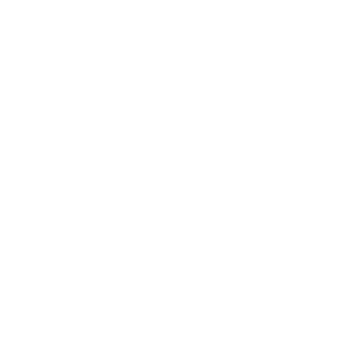 Worksheet Icon